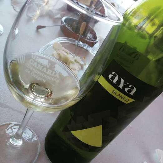 El vino Aya blanco, distinguido por la Unión Española de Catadores